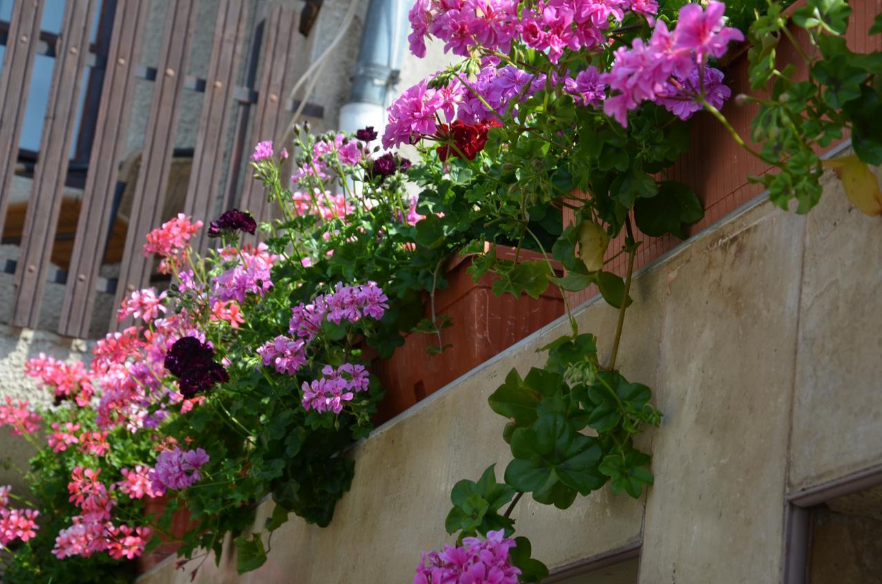 Villa Rosi Sozopol Esterno foto